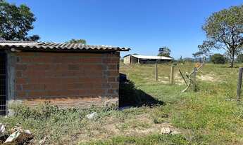 Imagem 4: Fazenda com 3 dormitórios à venda, 1130000 m² por R$ 1.200.000,00 - Plano Diretor Sul - Pa