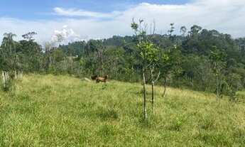 Imagem 5: 32W-Lote/Terreno para venda tem 1000 metros quadrados em Centro - Jacareí- SP....