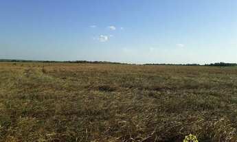 Imagem 6: Fazenda à venda, 4.800 Hectares em Goianorte/TO