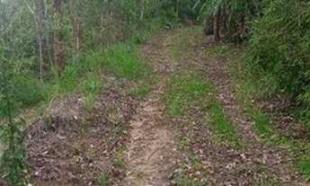 Imagem 2: Granja Pedra Bonita