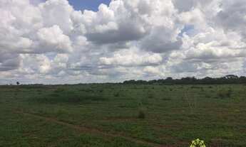 Imagem 2: Fazenda aberta à venda, 1.810 Hectares em Santa Rita do Tocantins/TO