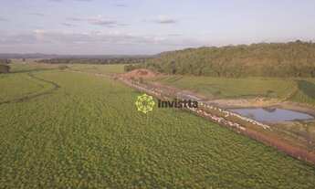 Imagem: Fazenda à venda, 19.820 Hectares em Goiatins