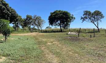 Imagem 5: Fazenda com 3 dormitórios à venda, 1130000 m² por R$ 1.200.000,00 - Plano Diretor Sul - Pa