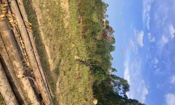 Imagem 2: R5- Vendo terreno de 600 metros quadrados com entrada independente em Mairiporã