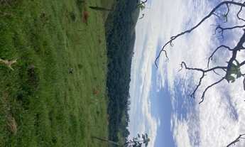 Imagem 2: R5- Promoção de terreno ! Lotes de 600m2 na região central de Igarata!