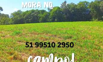 Imagem 3: 2 HECTARES COM LINDO RIACHO EM ITACOLOMI