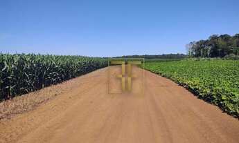 Imagem 4: Fazenda 700 Hectares, Miracema do Tocantins, TO