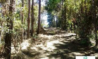 Imagem 4: EXCELENTE PROPRIEDADE EM TERESÓPOLIS