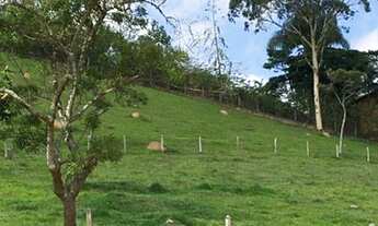 Imagem 4: 51 Lote/Terreno para venda tem 2500 metros quadrados em aterrado - Salesópolis - São Paul