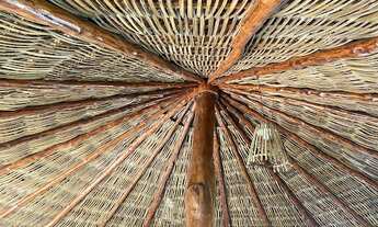 Imagem 7: Fazenda com 3 dormitórios à venda, 1130000 m² por R$ 1.200.000,00 - Plano Diretor Sul - Pa