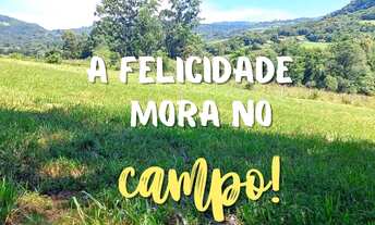 Imagem 7: 2 HECTARES COM LINDO RIACHO EM ITACOLOMI