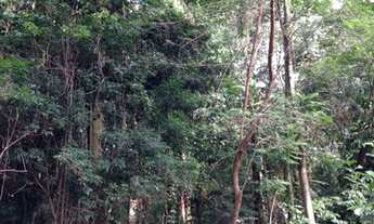 Imagem 5: Lote para Venda no Jardim Santana