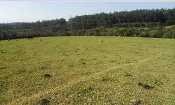 Imagem 5: Área à venda, 128986 m² por R$ 3.869.580,00 - Lageado - Salto/SP