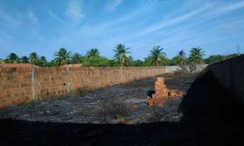 Imagem 4: Terreno as Margens da CE-010 - Eusébio