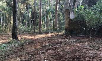 Imagem 5: Fazenda, área ambiental, mata atlântica