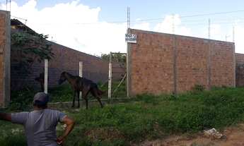 Imagem 4: Terreno Terreno / lote com venda por R$75.000