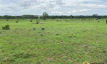 Imagem 5: Fazenda à venda de 720 Hectares em Araguacema do Tocantins