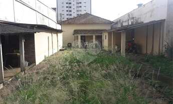 Imagem 5: São Carlos - Casa Padrão - CENTRO