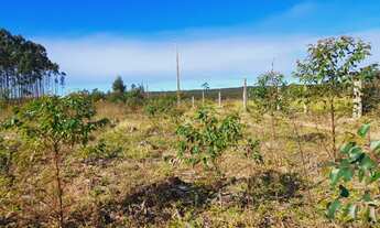 Imagem 7: Chácara à venda, próximo das praias e ótimo para plantio!<br>localizada em Passo de