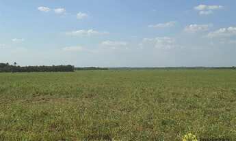 Imagem 2: Fazenda à venda, 4.800 Hectares em Goianorte/TO
