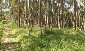 Imagem 5: MD. Venha Morar em Salesopolis Otima Oportunidade De Lazer