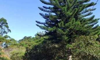 Imagem 7: Apartamento com 2 dormitórios, 60 m² - venda por R$ 310.000,00 ou aluguel por R$ 1.100,00