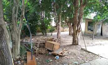 Imagem 4: Terreno plano a 70 mt general carneiro aceita 30% em permuta