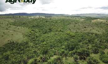 Imagem 5: Fazenda Localizada no Município de Niquelândia - go