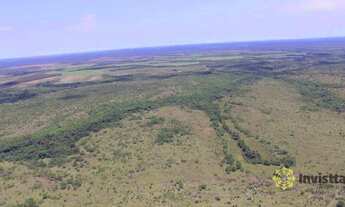 Imagem 6: Fazenda à venda, 4.000 Hectares em Goianorte/TO