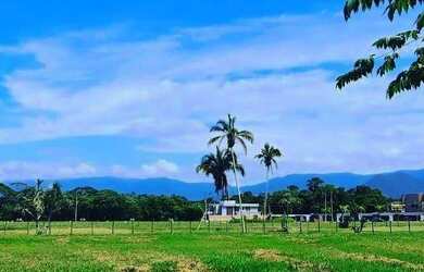 Imagem 3: Terreno para venda na Riviera