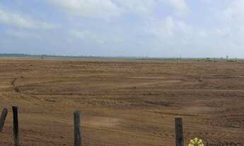 Imagem 2: Fazenda à venda, 315 Hectares- Zona Rural - Tailândia/PA