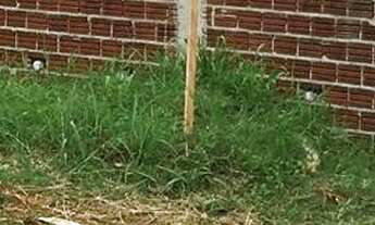 Imagem 3: Terreno com 1000 metros - Do lado do Jd Oriental - Oportunidade