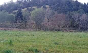 Imagem 4: Chácara em Cantagalo