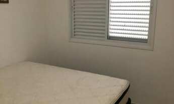 Imagem 7: São José do Rio Preto - Apartamento Padrão - Vila Redentora