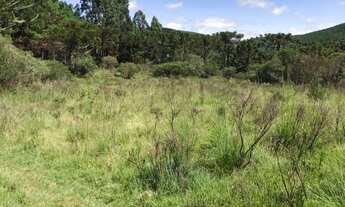 Imagem 4: Área rural de 44,3 hectares, localizada na cidade de Painel