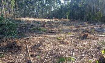 Imagem: Excelente preços consulte