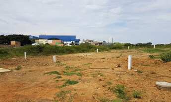 Imagem 4: Terreno à venda, 290 m² - Passo das Pedras - Gravataí/RS