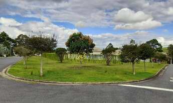 Imagem 6: Lote em condomínio - Árvores