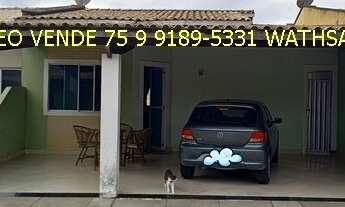 Imagem: Leo vende, Perto da Fraga Maia, Gaivotas