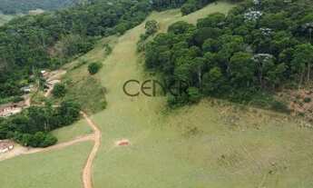 Imagem 3: 2449 - Ótima Fazendinha de 32 HA, limpa formada, em ótimo local com ótimo preço