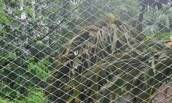 Imagem 5: Flat em Moema - São Paulo, SP