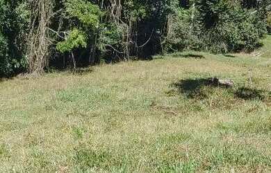 Imagem 3: Vendo Chácara com venda por R$400.000