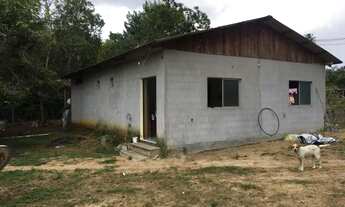 Imagem 2: Terreno novo Airão (agricultura