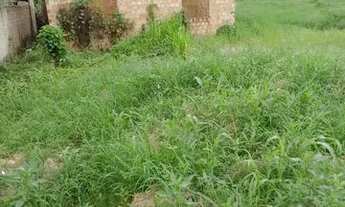 Imagem 6: Vende se ou troca, Rorainópolis RR