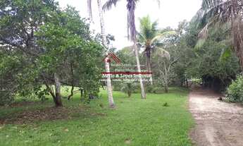 Imagem 4: Sitio Plano com 10,000m2 em Itaboraí !! Próximo ao Centro