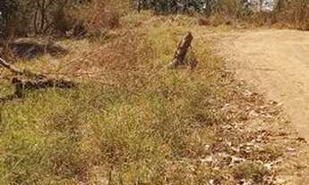 Imagem 4: Vendo lotes no setor de chácaras próximo a Nobel próximo a GO 222