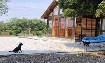 Imagem 6: Sítio 1 hectare escriturado com 4 casas, somente 1,5km RS040, Águas Claras..