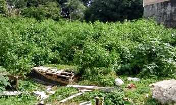 Imagem 2: Terreno na avenida Maceió