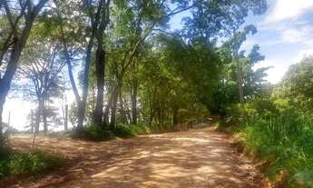 Imagem 5: Chacara ,terreno monte alto