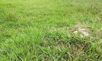 Imagem 6: Casa Com piscina Lucena- PB